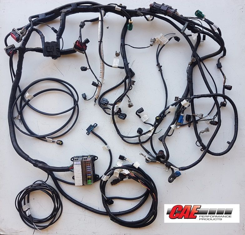 Engine Management loom to suit Ford AU Ser 2 and 3 Engines