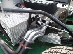 cobra-fe-2