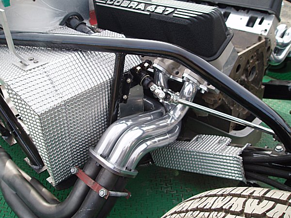 cobra-fe-2