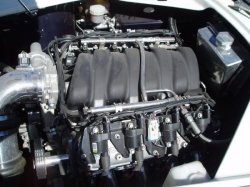 cobra-pic2-03-2010